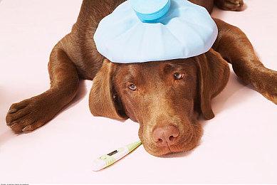 育碧前瞻会2024将于6月11日举行